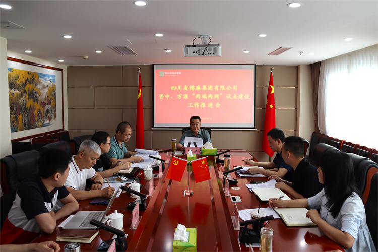 鄧華主持召開資中、萬源“兩端兩網(wǎng)”試點建設(shè)工作推進會