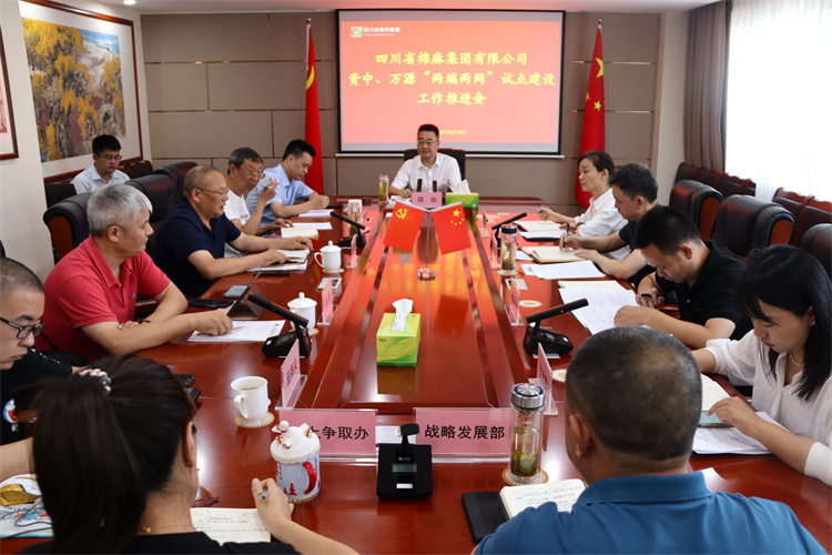 鄧華主持召開資中、萬源“兩端兩網(wǎng)”試點建設(shè)工作推進會