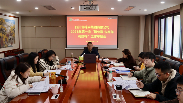 集團(tuán)公司召開2025年第一次“清欠款、去庫存、調(diào)結(jié)構(gòu)”工作專題會(huì)